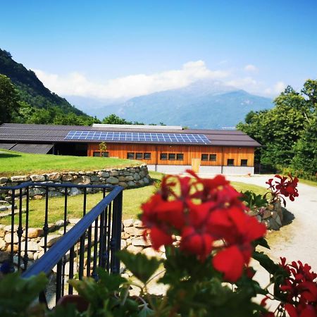 Agriturismo La Ca' D'Amelio Lessolo Exterior foto
