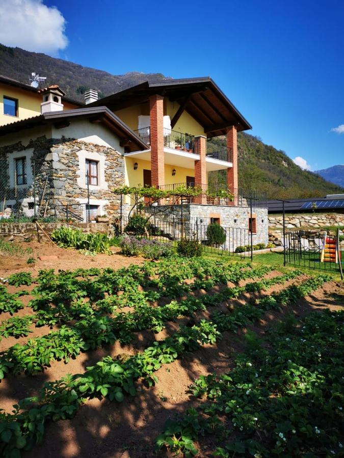 Agriturismo La Ca' D'Amelio Lessolo Exterior foto